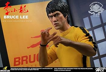 BRUCE LEE　ジャケット5枚　LPレコード6枚　セット BRUCE LEE ジャケット5枚 LPレコード6枚 セット BRUCE LEE